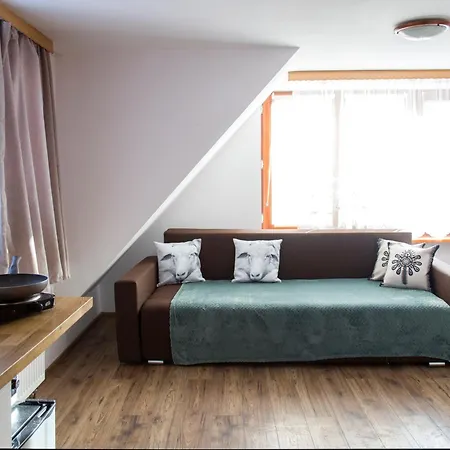 Miedzy Owcami Z Elektrycznymi Rowerami Apartment Sromowce Wyzne Exterior photo