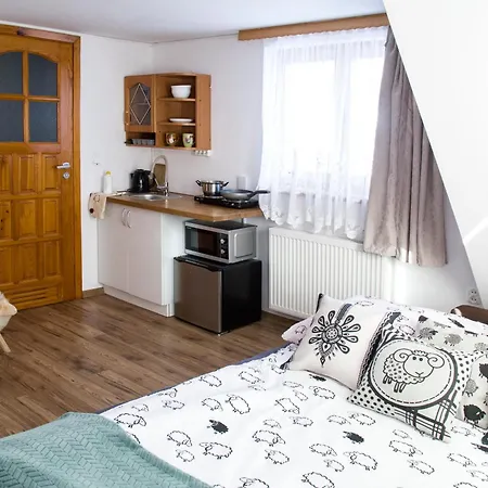 Miedzy Owcami Z Elektrycznymi Rowerami Apartment Sromowce Wyzne Exterior photo