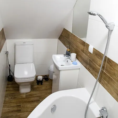 Miedzy Owcami Z Elektrycznymi Rowerami Apartment Sromowce Wyzne Exterior photo